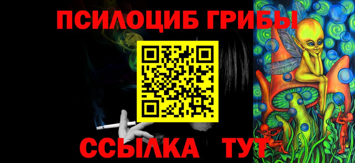 Псилоцибиновые грибы Psilocybe  Вход с VPN  Железногорск 